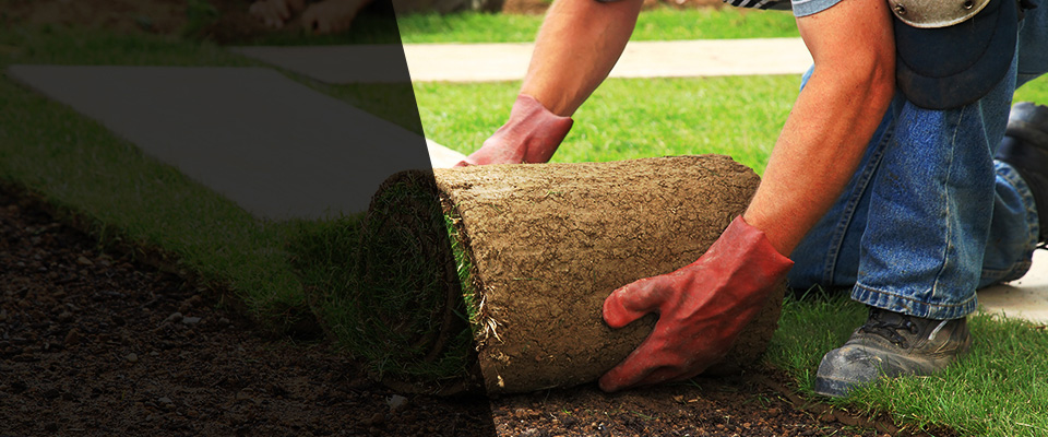 Saint Peters Landscapers